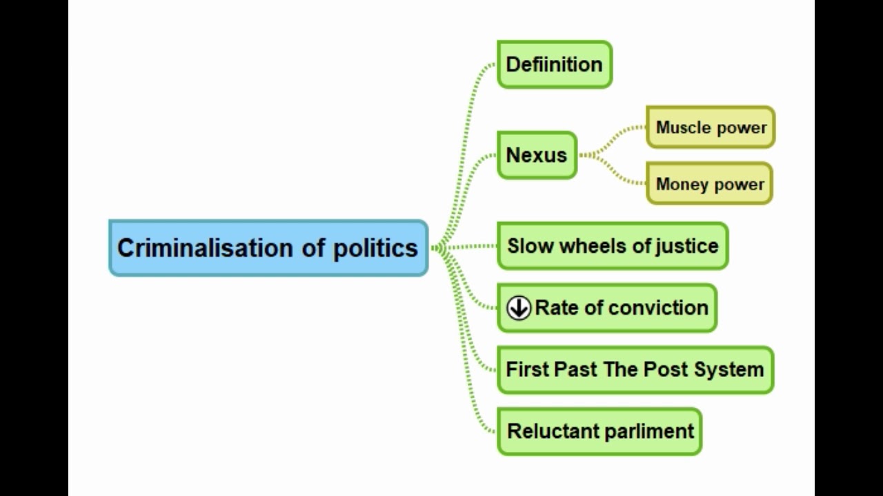 write an essay on criminalisation of politics